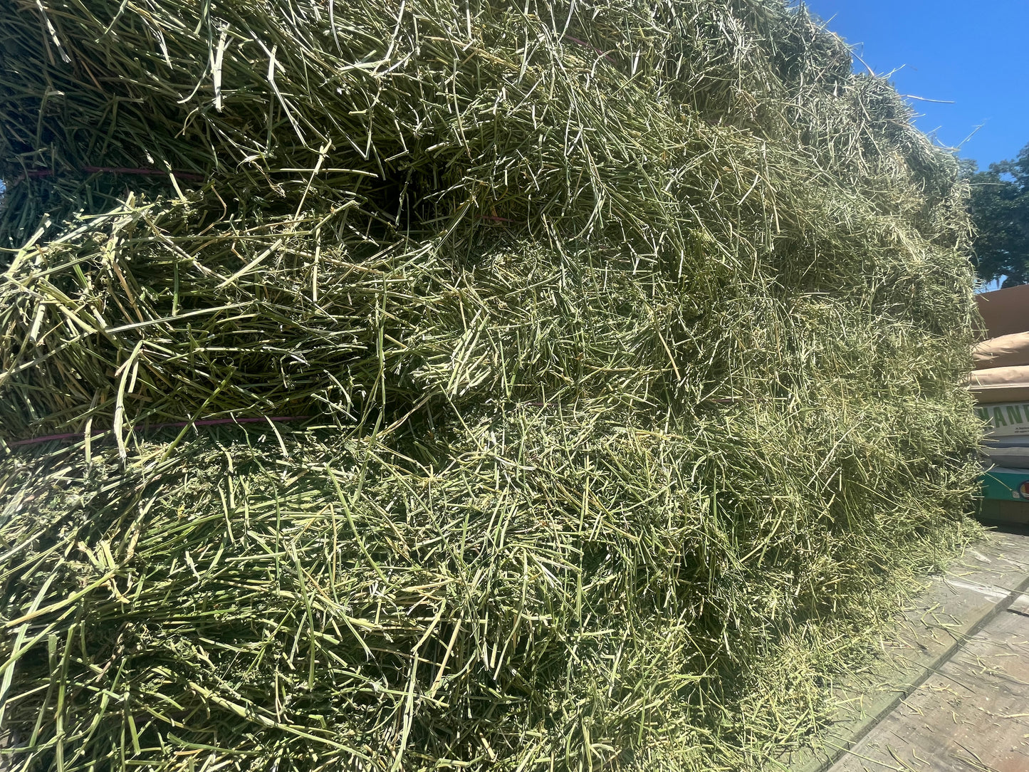 PREMIUM Western O&A Hay 2-tie Bundle