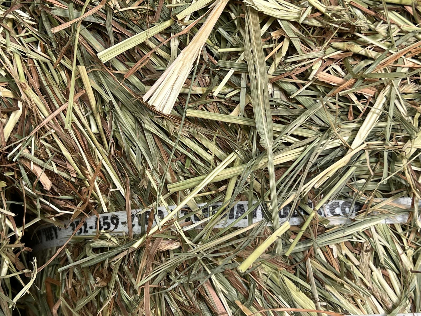 Cow Hay T&O Hay 50-55lbs not for Horses