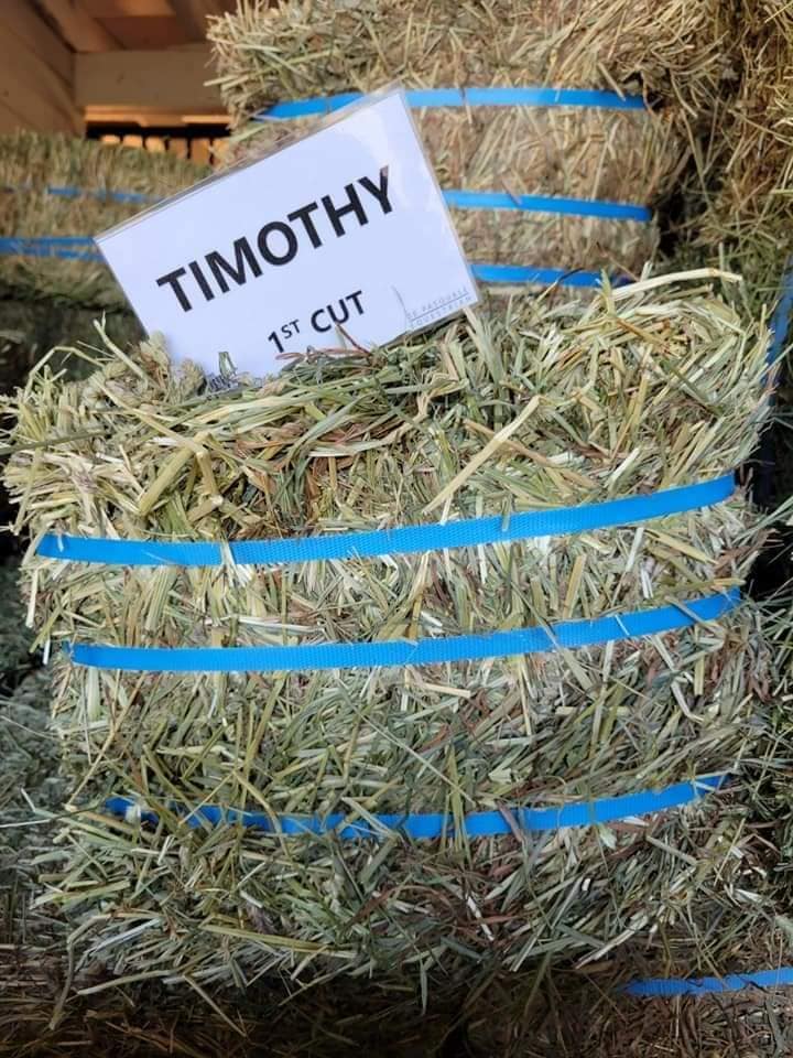 Timothy Hay 50-55lbs – The Hay Dudes Online Shop