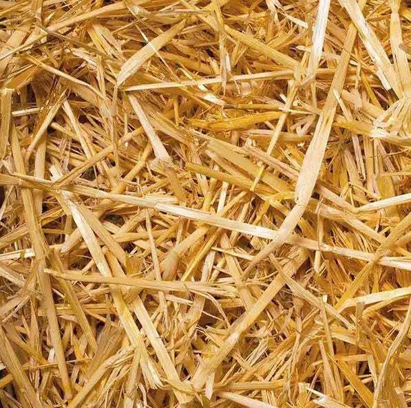 57 lbs - Straw Bale