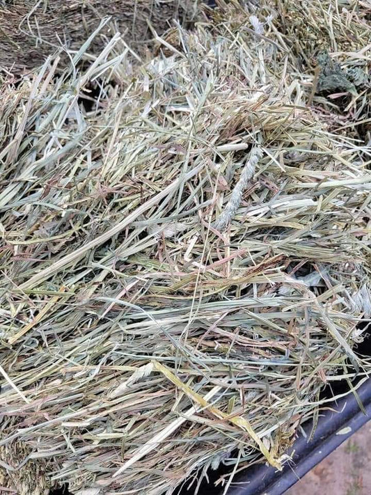 Hay Pay Eastern Hay Bales – The Hay Dudes Online Shop